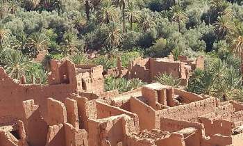 Puzzle 7851 - Sud marocain