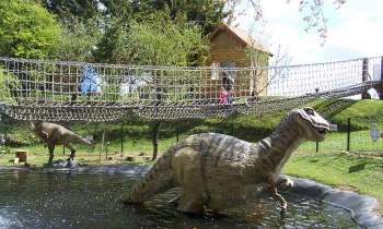 Puzzle 9892 - Les dinosaures