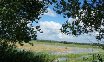 Puzzle 14843 - Marais du cotentin