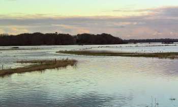 Puzzle 11535 - Marais du Cotentin