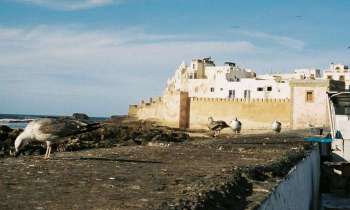 Puzzle 13384 - Essaouira (Maroc)