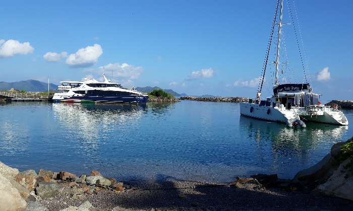 Puzzle Catamarans - Paysages & Fleurs - Absolu Puzzle