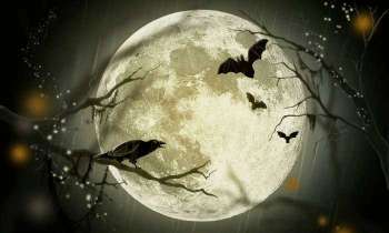 Puzzle 5383 - Pleine lune avant Halloween
