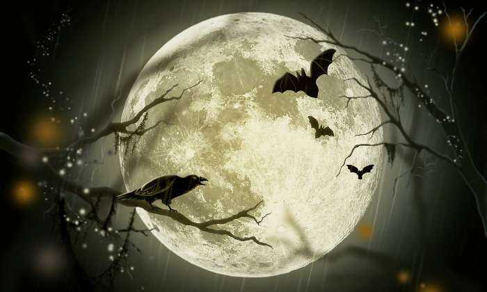 Puzzle Pleine lune avant Halloween