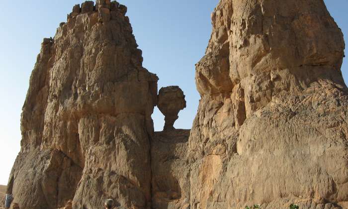 Puzzle Sahara - Paysages & Fleurs - Absolu Puzzle