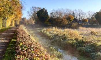 Puzzle 10007 - C'est l'automne !