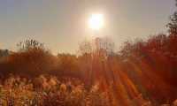 Puzzle Le soleil