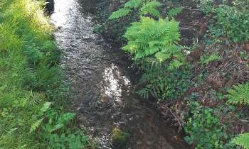 Puzzle 11387 - Le ruisseau