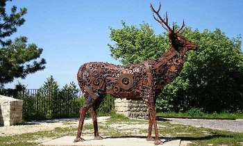 Puzzle 5463 - Animal en pièces détachées