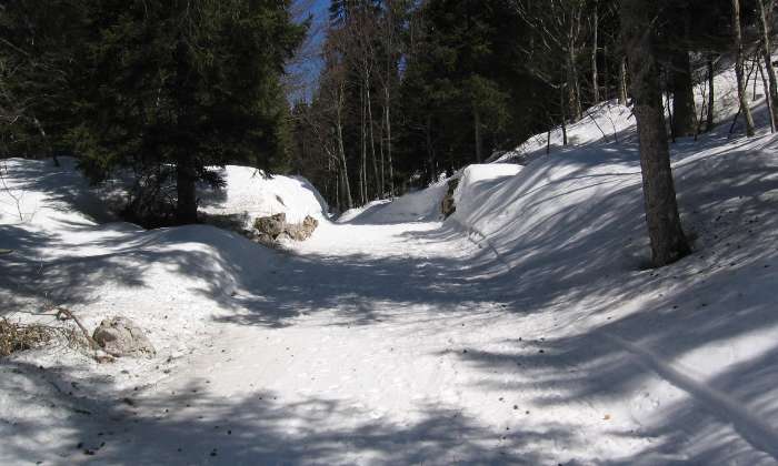 Puzzle La  forêt en hiver