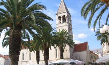 Puzzle 11281 - Palmiers et église
