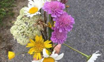 Puzzle 13748 - Bouquet de fleurs