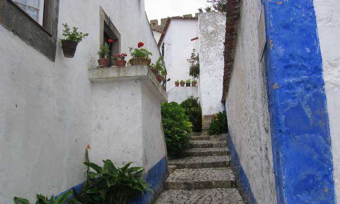 Puzzle Ruelle