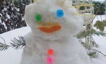 Puzzle 5428 - La neige