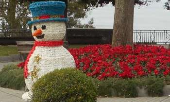 Puzzle 11231 - Noël à Sorrente
