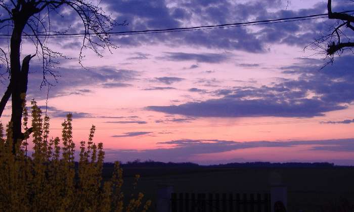 Puzzle lever de soleil - Paysages & Fleurs - Absolu Puzzle