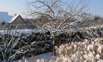 Puzzle 11688 - Neige