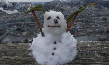 Puzzle 5489 - Bonhomme de neige