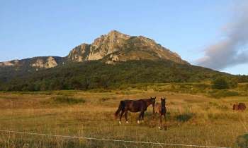 Puzzle 14227 - Chevaux et montagne