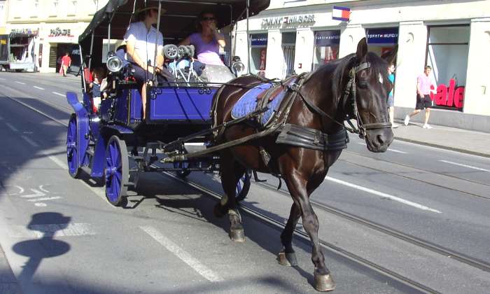 Puzzle voiture attelée - Véhicules & Motos - Absolu Puzzle