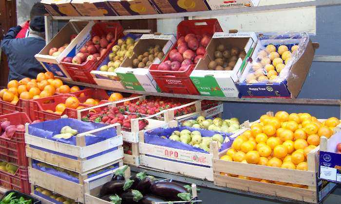 Puzzle Les fruits