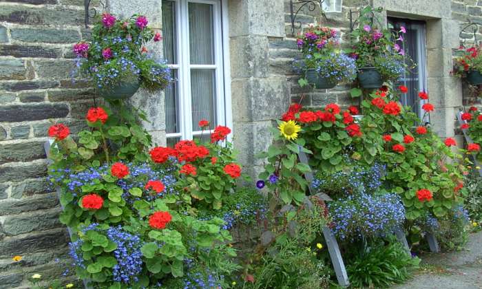 Puzzle maison d'éclusier - Divers - Absolu Puzzle