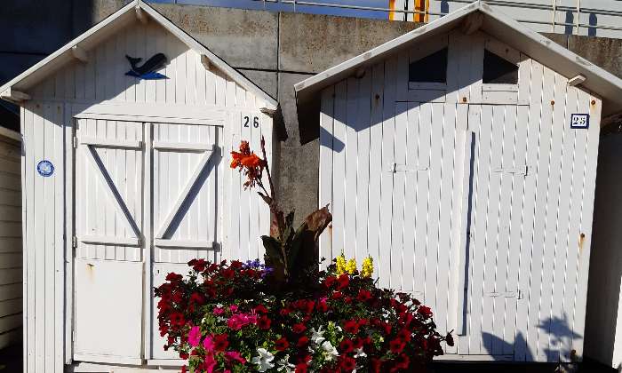 Puzzle Les cabines - Paysages & Fleurs - Absolu Puzzle