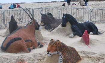Puzzle 5645 - sculpture de sable