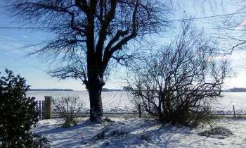 Puzzle 5590 - soleil d'hiver