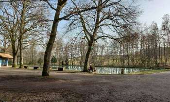 Puzzle 5644 - Etang de pêche