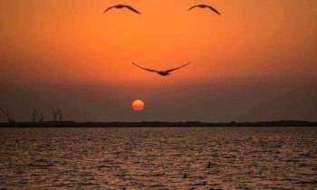 Puzzle 5552 - Coucher de soleil