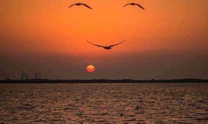 Puzzle Coucher de soleil