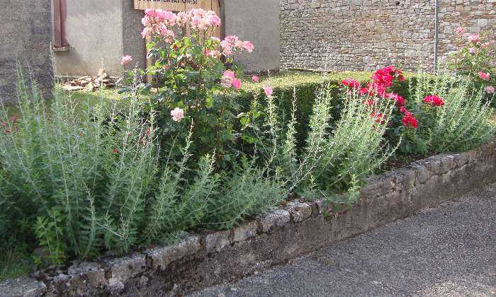 Puzzle Fleurs
