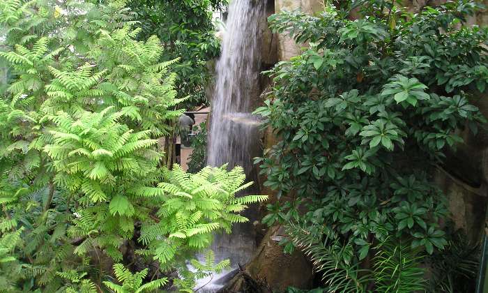 Puzzle Cascade - Paysages & Fleurs - Absolu Puzzle