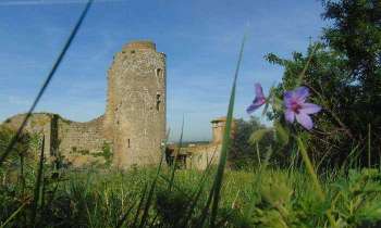 Puzzle 5568 - Bouilhonnac le château