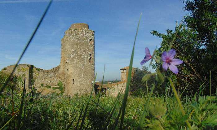 Puzzle Bouilhonnac le château