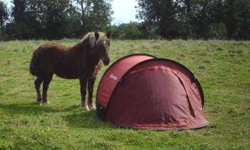 Puzzle 5849 - Poney campeur