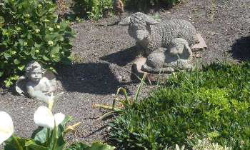 Puzzle 5710 - Agneaux pascals au jardin