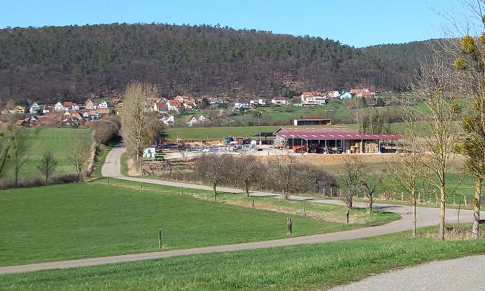 Puzzle Paysage