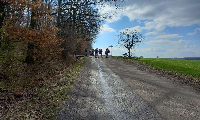 Puzzle Promenade