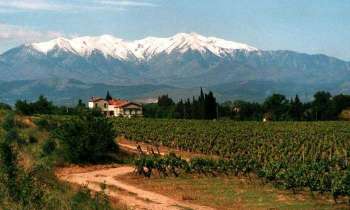 Puzzle 5850 - Le Canigou 66
