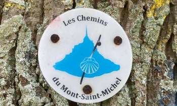 14614 | La coquille - Chemin de Compostelle (Manche)