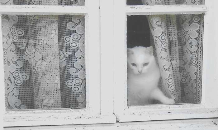 Puzzle surveillance attentive