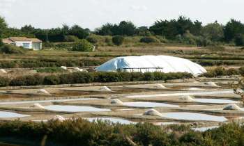 Puzzle 13707 - marais salants à Noirmoutier