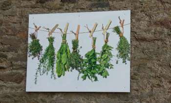 Puzzle 11069 - herbes aromatiques