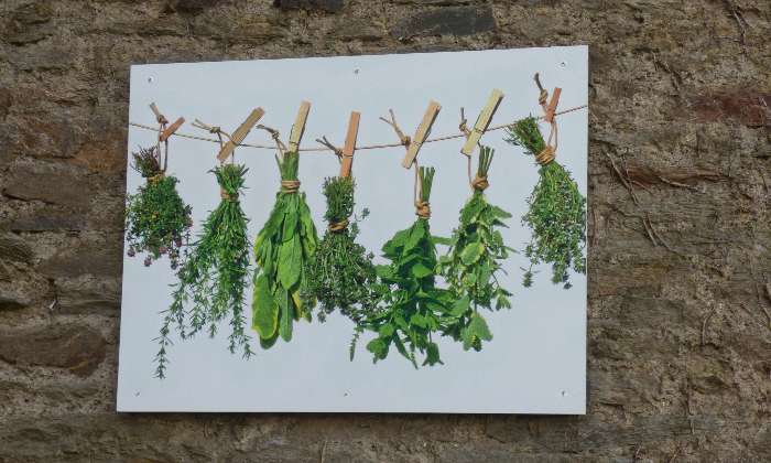 Puzzle herbes aromatiques