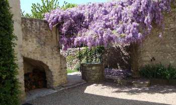 Puzzle 14004 - Glycine