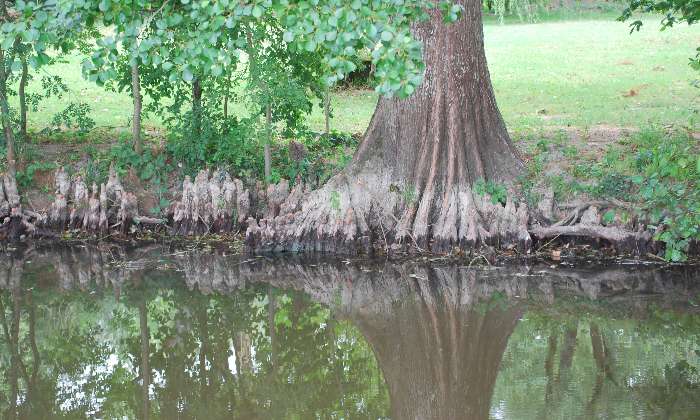 Puzzle reflet