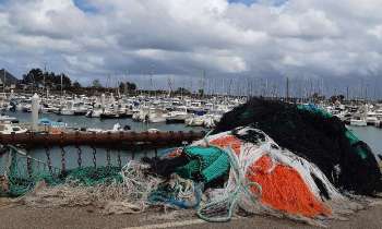Puzzle 12872 - Le port