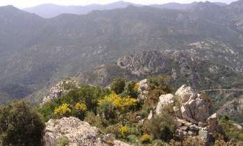 Puzzle 14544 - Sardaigne